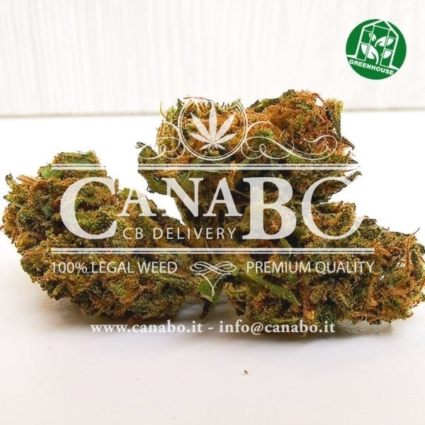 1 canabo amensia cannabis light cbd legale
