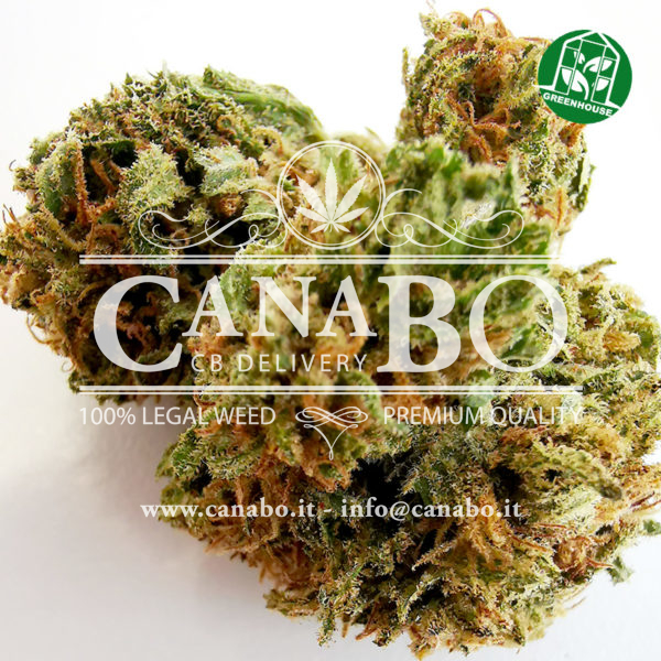1 canabo super skunk cannabis light cbd legale
