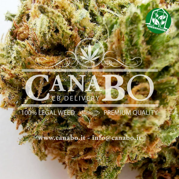 2 canabo super skunk cannabis light cbd legale